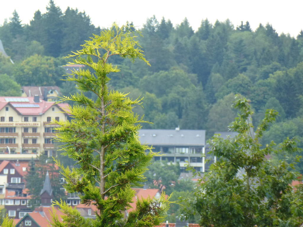 Harzhaus Willkommen Braunlage Bagian luar foto